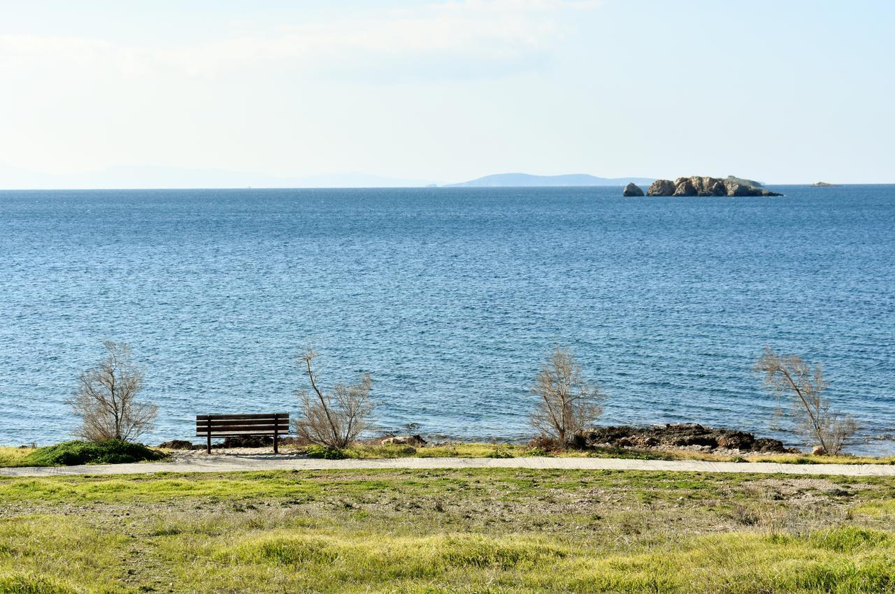 El Mar, 2 Bdr Seaview Apartment, 7 Min From Beach Lagonisi Bagian luar foto